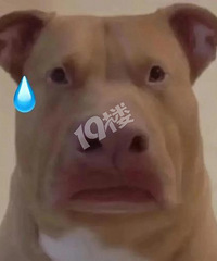 ܵҵĹ򷿣дЭ飬ûʲô