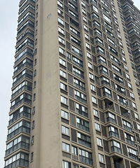 �����⼸��С����ǽƵ�����䣬��ô�죿