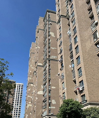 �����⼸��С����ǽƵ�����䣬��ô�죿