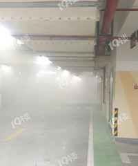 ĩСؿⷢ糵ѣҾͣڱϡ