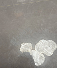 [] ΪʲôҼҵĵôϲϸɾȫӡ..