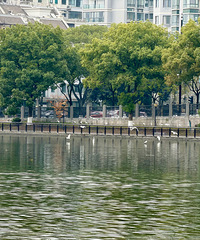 ���յĹ�侺� ������ ����һ�����