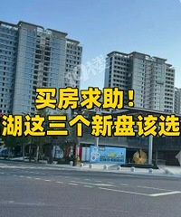 ˫Ϫ�������������ĸ���һ�㣿