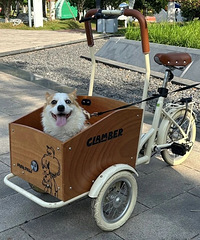 ���ﹷ��԰Ҫ��Ʊ�������������������շ�������