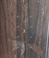 ���궬����Ҳ̫ů���˰� ���Ӷ���ȫ�������ˣ�