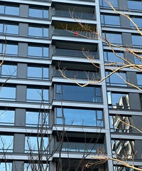 ��û���м�֪�������鲣��������Ͳ�ۣ���ô��ɫ����ô�࣡