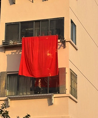 ¥���ھ�����ɹ������ô�죿ÿ�ζ�����������ɹ...