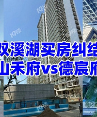 ˫Ϫ�������������ĸ���һ�㣿