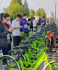 ���ݴ��¸ߣ�����С�̳���������