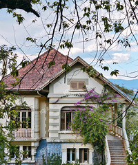 ΪʲôоũԽݿŷҵԵóª