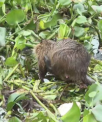 ��С��һ���󣡼�������������ֻ�����������󡱣�����ʵ�ġ�