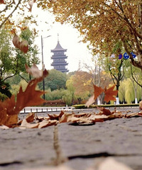 100%��Ƭ�ʣ�����37�����۴����ʽ����