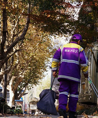 100%��Ƭ�ʣ�����37�����۴����ʽ����