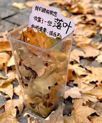 ������Щ�ط� 100%��Ƭ�ʣ�