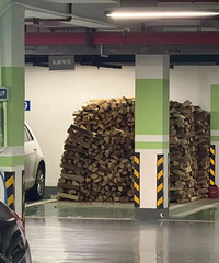 [����]�����ǵ��³��Ⱑ�������ǡ����²񷿡�����