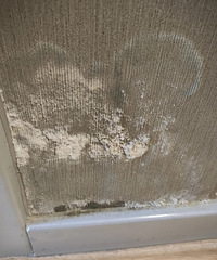 ���ף�ǽ����ɶ������ë�ˣ�