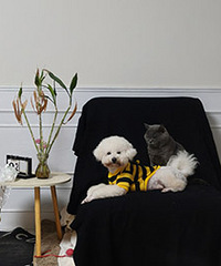 ��è��ʿ���飡92����������Ե��