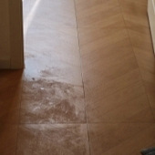 ������ľ��ש�Ŀ�