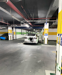 ������˹�� ������ôţ��