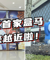 ���˺��������½��ȣ�