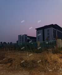 ���������βѧУ����ж���������������й����ڼӰ����޲�����