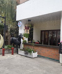 �ַ��ӳ�Ƭ���������С���ʥ����Χ��Ũ��