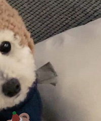 ��ϲ��èè������Ů����