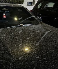 ������ѩ �����»Ұ��� ��ϴû��õĳ������ˡ����ǻ�����