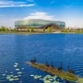 ��������Ƽ�����