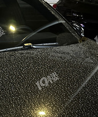 ������ѩ �������»Ұ���