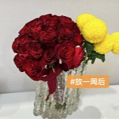 ���ƽ��������