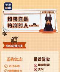 �����¹����ˣ���߾�10�죡2026��1��1����ʽʵʩ��