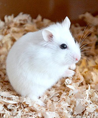 [����]�����С����Ҫ��������ô�죿���������˺�Ͳ���