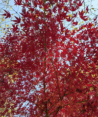 ���˱���������������һλ���ʵ�Ů������Ҹ���ܰ�ļң�����