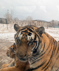 ����������������