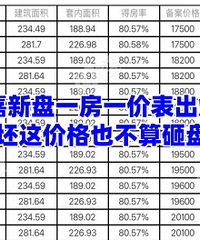 ֻ��˵��۸����...