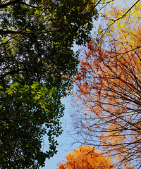 ����ֲ��԰����ɼ�����ˣ�����������ÿ���ȥ���~