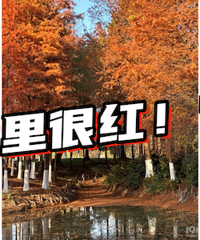 �������ÿ���ȥ���~