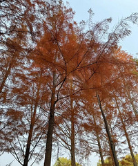 21�棡���˽���ӭ����С��������ת�۾��ڡ���