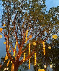 ����30 �з��г��ɱ��䣿89���̱��������� ֻϣ������ദ