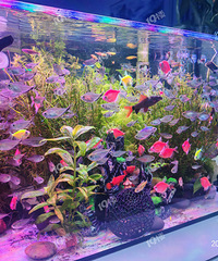 ���Է�������ҵ��δ�����������