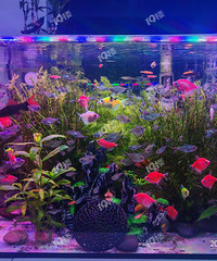 ���Է�������ҵ��δ�����������