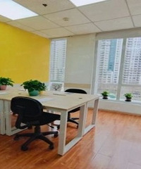 ���ٻ������������� �������������