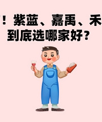 ����װ�޹�˾����ѡ�ļҰ���