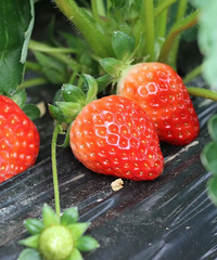 �����˵���ͷ�������У����ڽ����