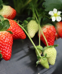 �����˵���ͷ�ã��Ѿ����У����ڽ������Ҫ�ٵȵȡ���