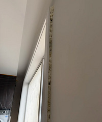 ����װ��ŷ�����ô��죬�߹�˵����Ϊǽ������ġ�