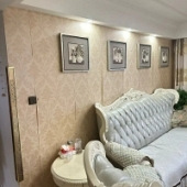 ��ֽ�ó�����������