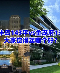 �����뵺vs��ï�����ĸ��ã�