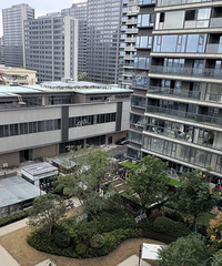 �е�С���ڽ���ҵ�ѣ�����С���ڿ�QQũ��